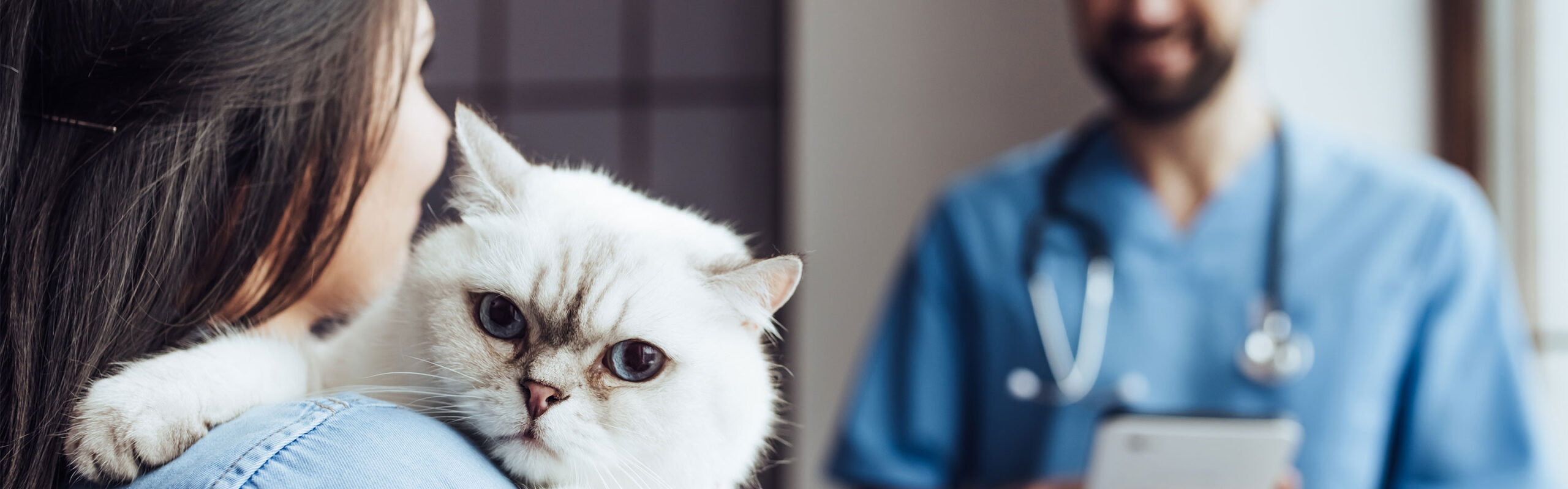 Vaccinating your pet